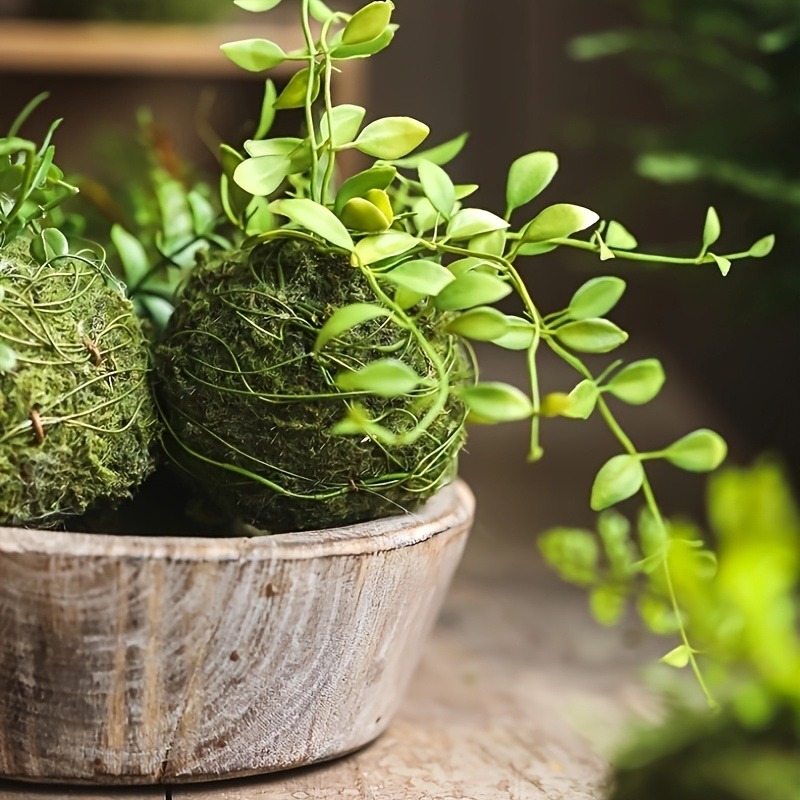 人工モスボールプランター、天然グリーン盆栽植物容器、家庭菜園 - Sphagnum Moss Dry のレビューと価格