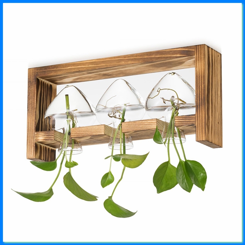 植物用ガラス繁殖ステーション：木製フレーム付きヴィンテージ花 - Propagation Station Vase のレビューと価格