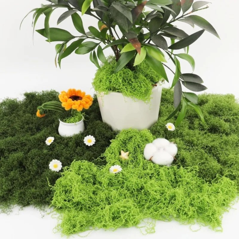 人工緑苔 フェイクモス 工芸品用 鉢植え 植物 フェアリーガ - Sphagnum Moss Dry のレビューと価格