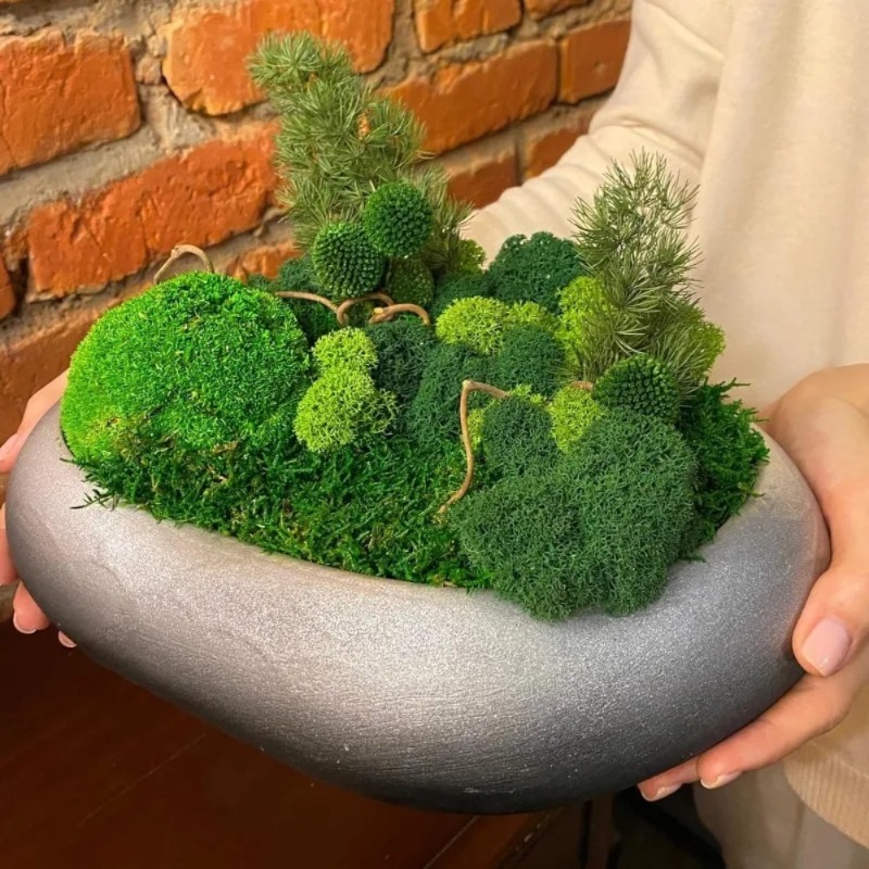 人工緑苔 フェイクモス 工芸品用 鉢植え 植物 フェアリーガ - Sphagnum Moss Dry のレビューと価格