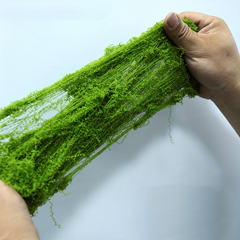 大型パックリアル人工苔天然屋外芝生耐久性のある色落ちしない低 - Sphagnum Moss Dry のレビューと価格